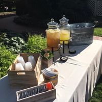 BAM! Pro-Sneaks and Non-Pro