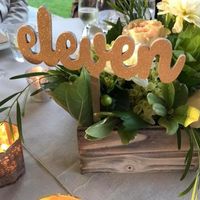 BAM! Pro-Sneaks and Non-Pro