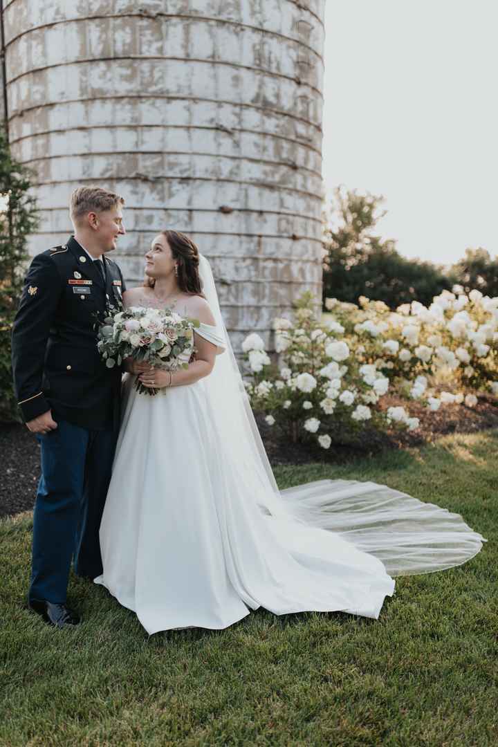 Dress Preservation Help - 1
