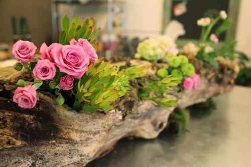 Driftwood or Grapewood Centerpieces?