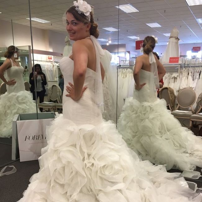 Veil or Birdcage?