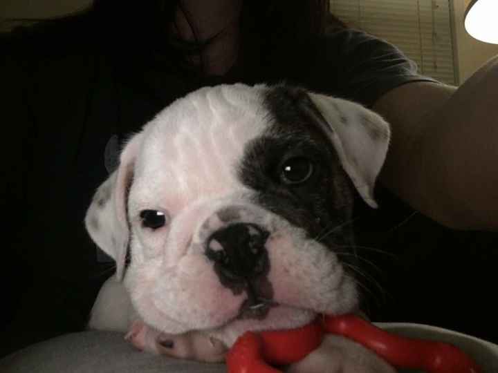 Monetary  or gift list