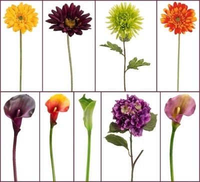 Color scheme for an autumn "themed" wedding?