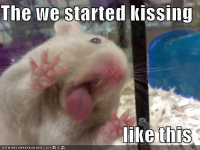 It's funny photo time!