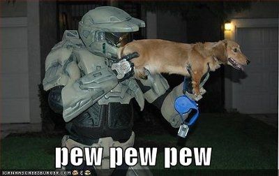 It's funny photo time!