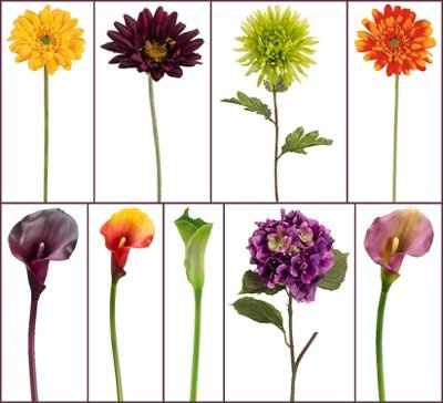 Color scheme for an autumn "themed" wedding?