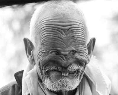 It's funny photo time!