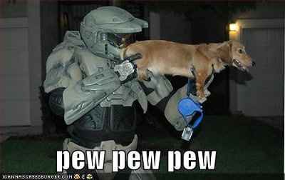 It's funny photo time!