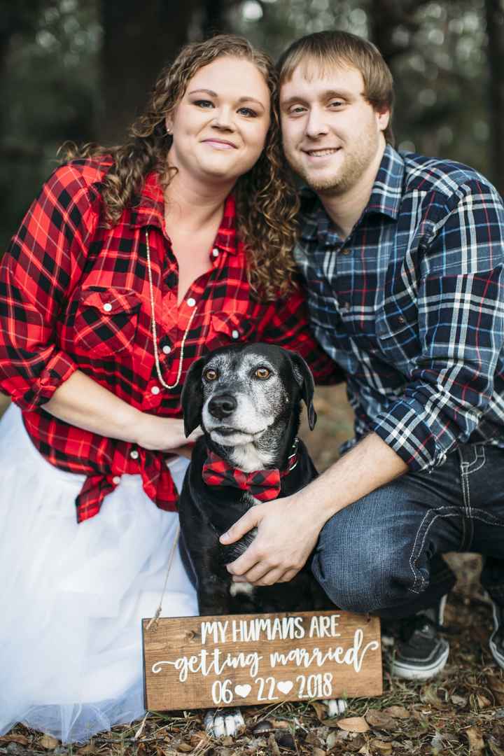 Engagement Pictures