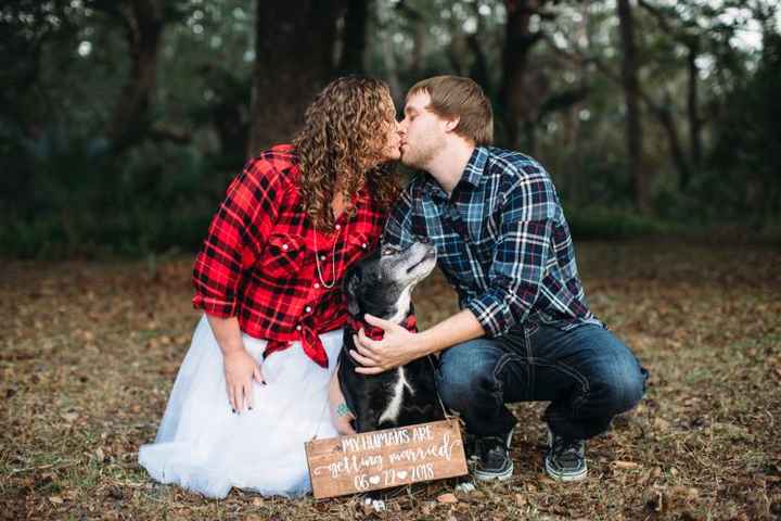  Dogs in E-pics - 1
