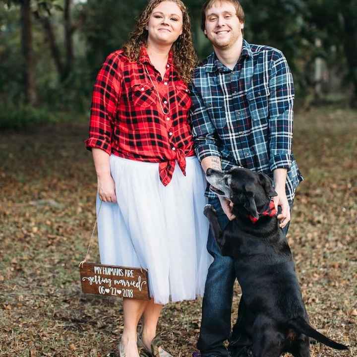  Dogs in E-pics - 2