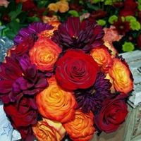 eggplant purple and orange... but what shade.