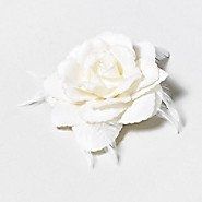 No Veil.... what to wear in hair... cont (pics)