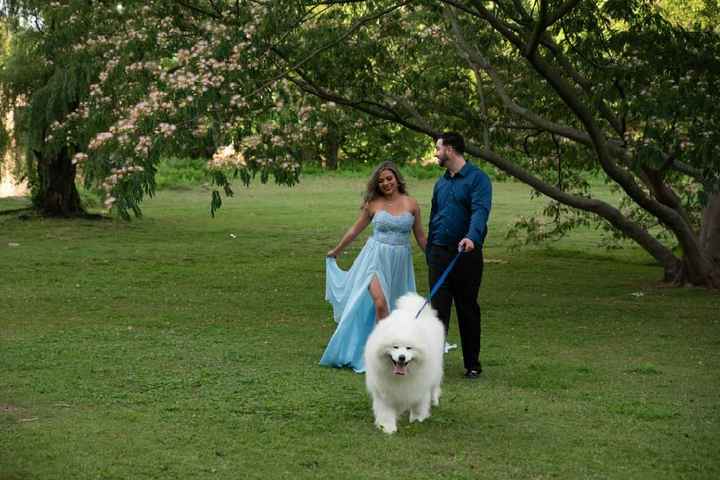 Engagement Photos are here! - 6