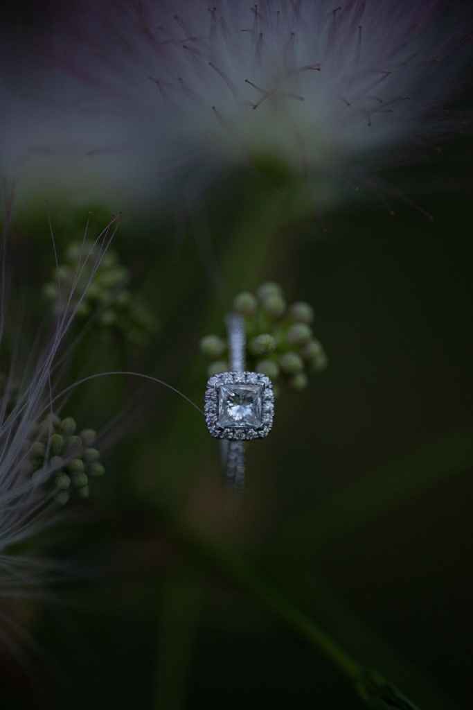 Engagement Photos are here! - 12