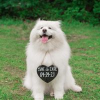 Engagement Shoot - 1