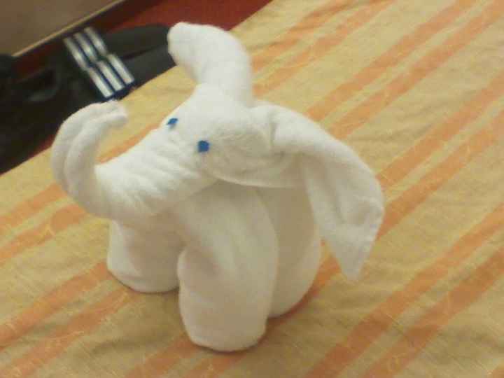 Honeymoon Cruise was a blast