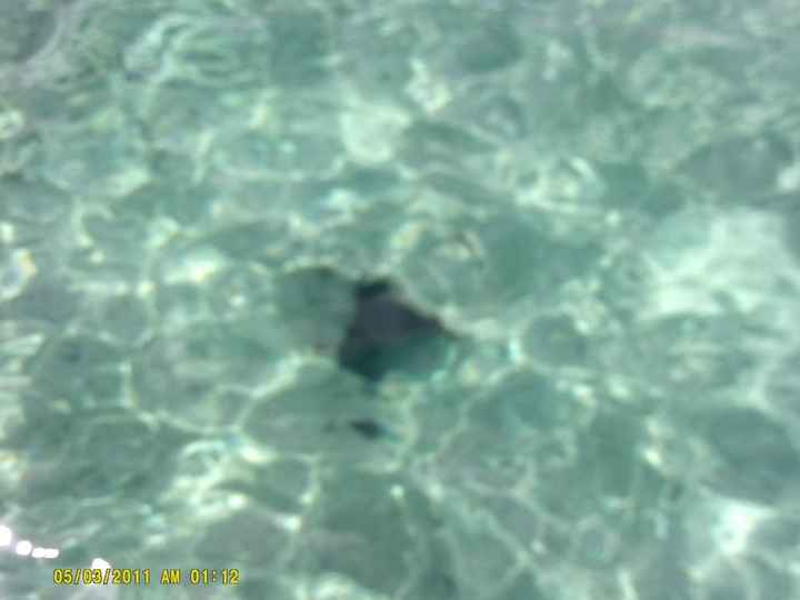 Honeymoon Cruise was a blast