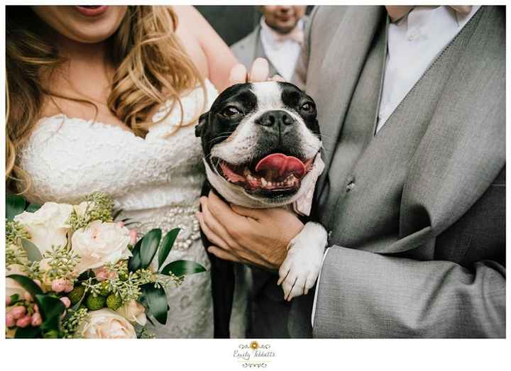 BAM! w/ some pro sneak peeks