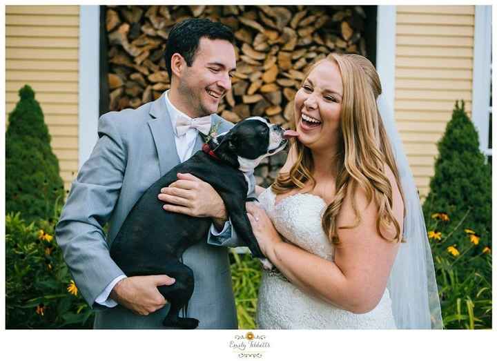 BAM! w/ some pro sneak peeks