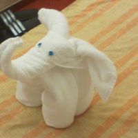 Honeymoon Cruise was a blast