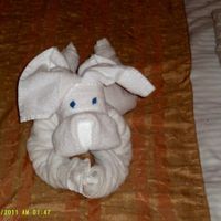 Honeymoon Cruise was a blast