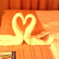 Honeymoon Cruise was a blast