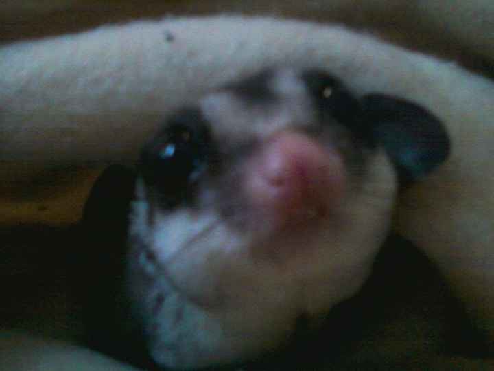 NWR Babies on the way