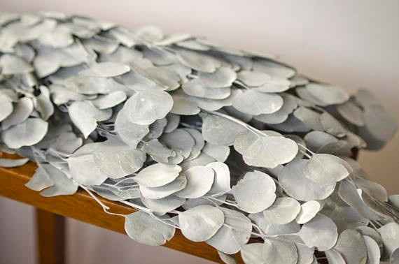 White Silver Dollar Eucalyptus