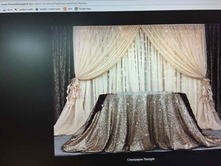 Led Light Curtain? help!!! nyc area - 1