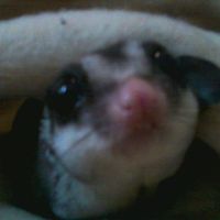 NWR Babies on the way