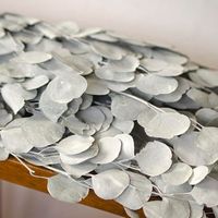 White Silver Dollar Eucalyptus