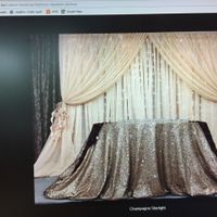 Led Light Curtain? help!!! nyc area - 1