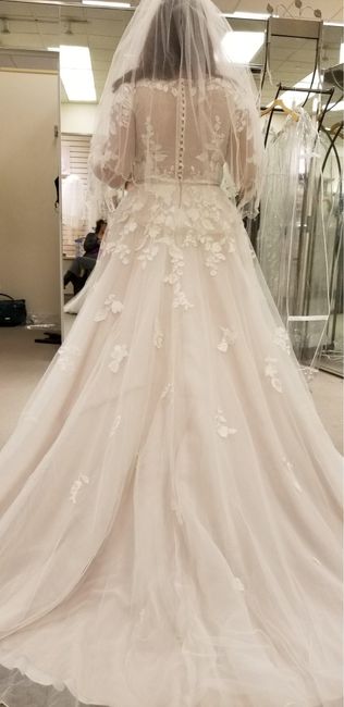 Show off your dress! (and more) - 2