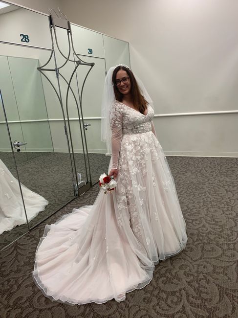 My dress is in!! - 3