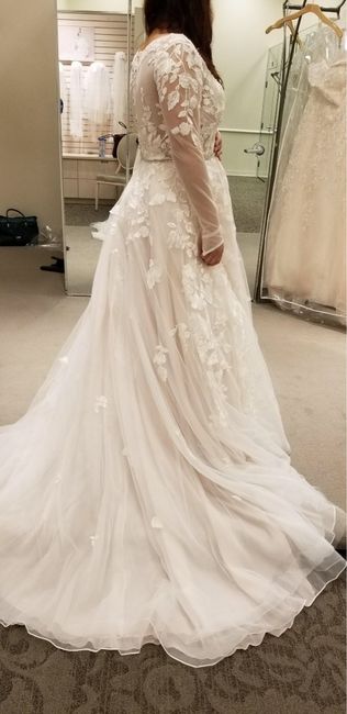 Wedding Dress Budget 15