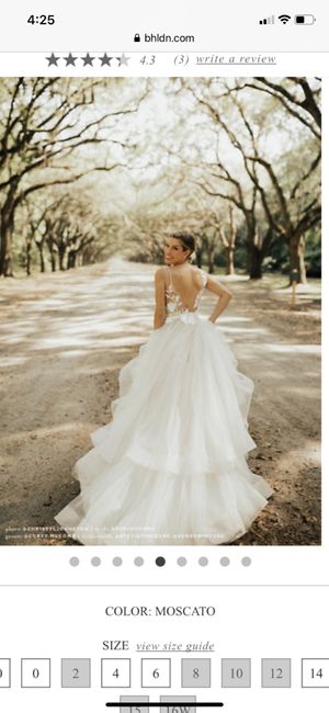 Texas Brides! - 2