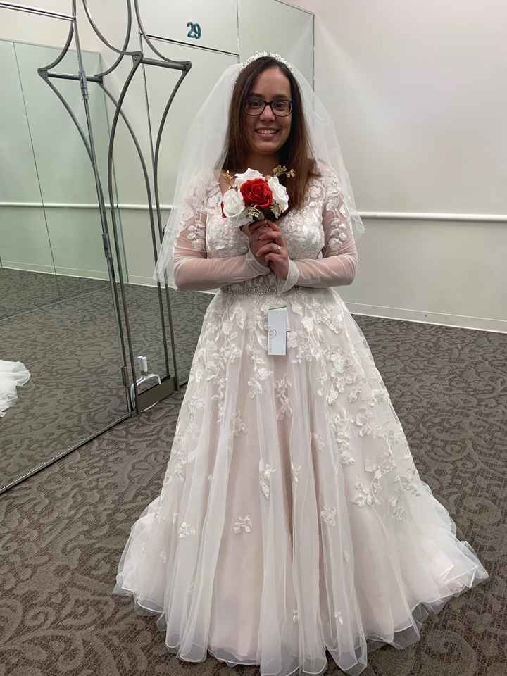 My dress is in!! - 1