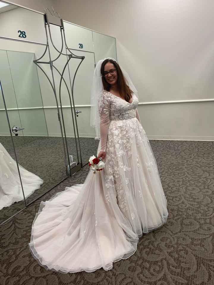 My dress is in!! - 3