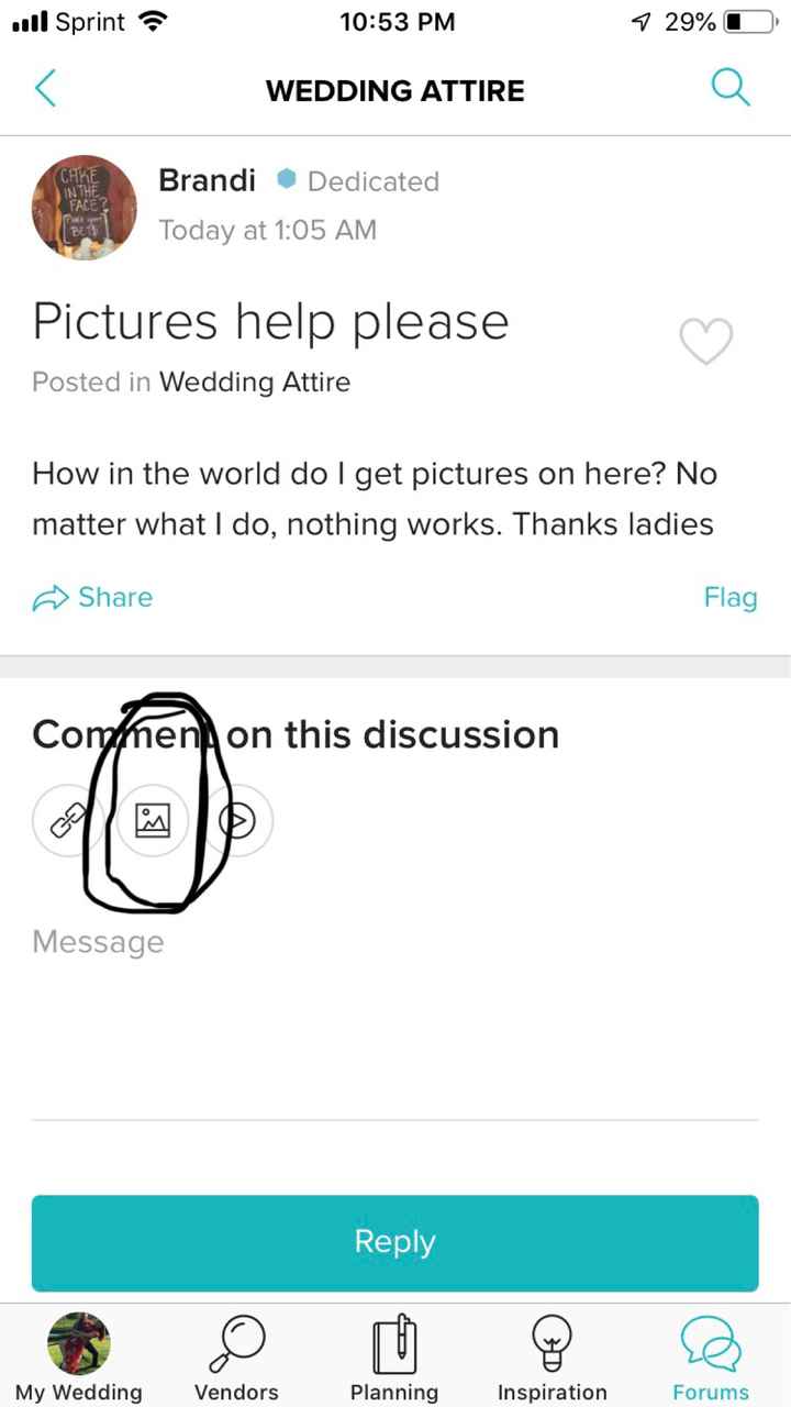 Pictures help please - 1