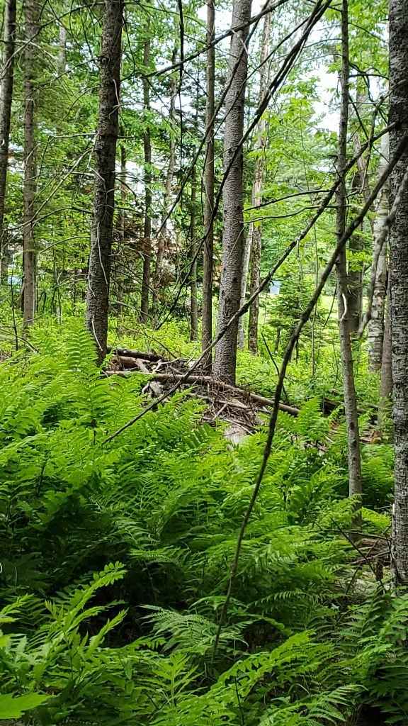 Where did the proposal happen? - 1