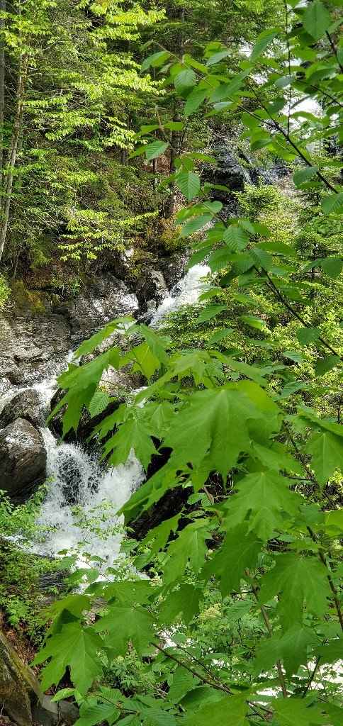 Where did the proposal happen? - 2