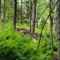 Where did the proposal happen? - 1