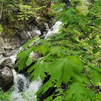 Where did the proposal happen? - 2