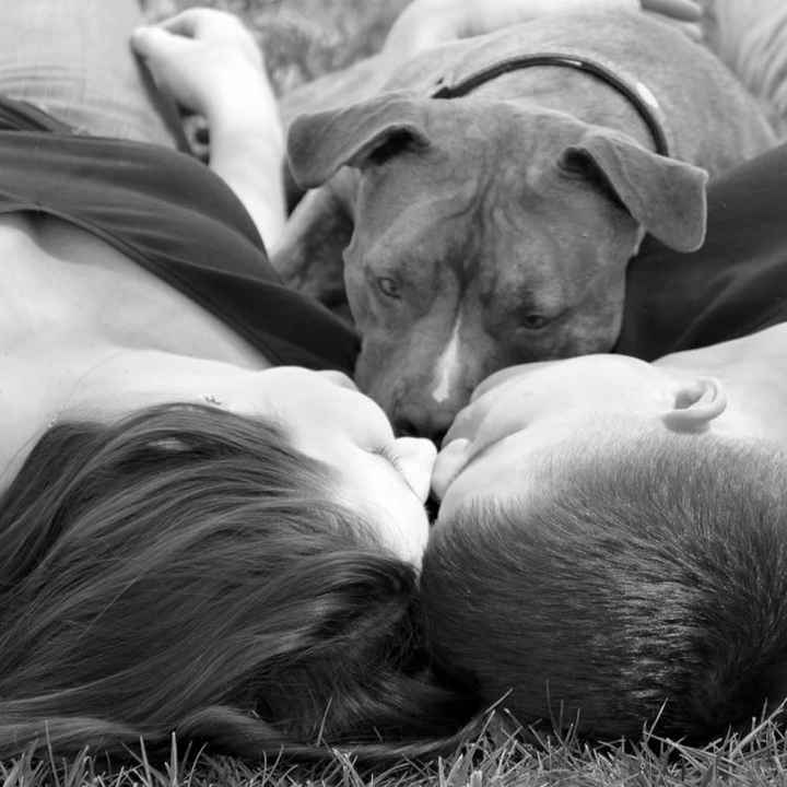 Meet with vendors: yes or no?