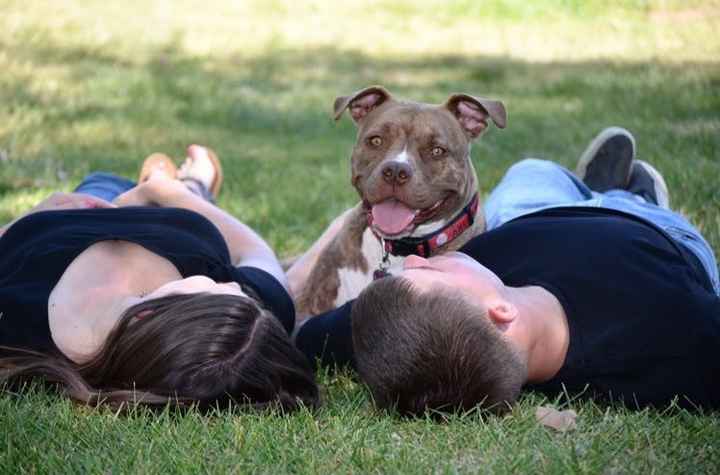 Dogs in Engagement Photos?