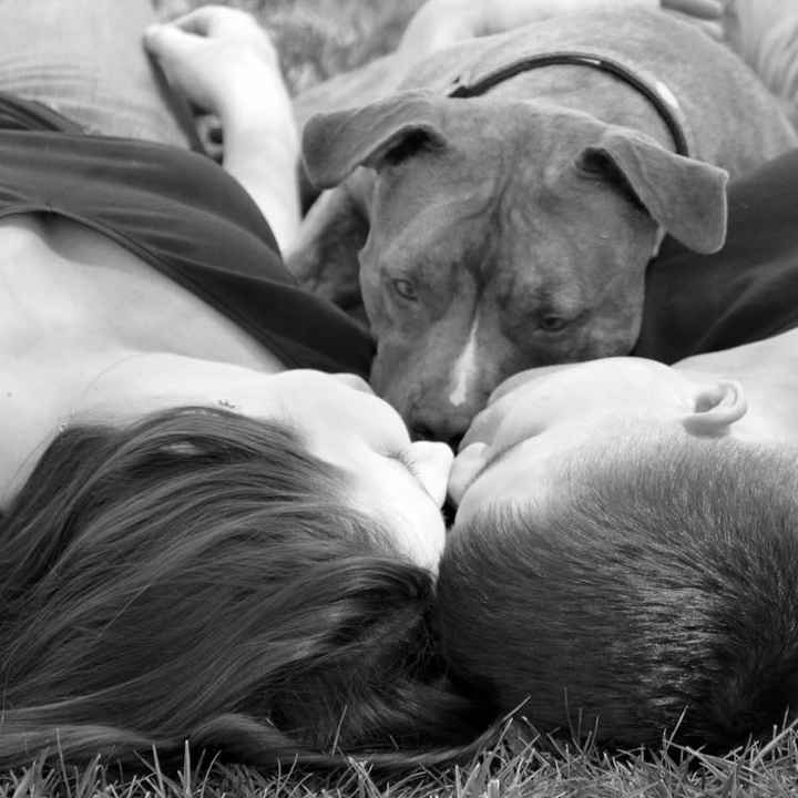 Dogs in Engagement Photos?