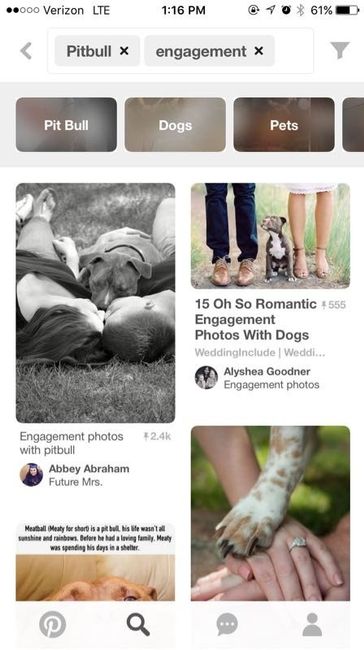 Dogs in weddings!