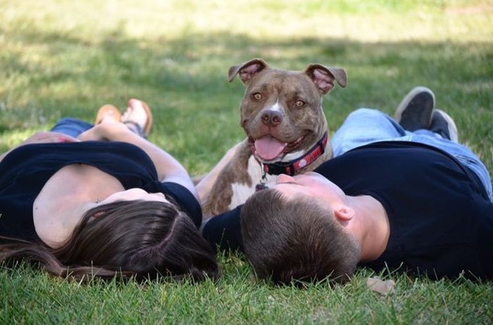 Dogs in Engagement Photos?