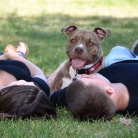 Dogs in Engagement Photos?